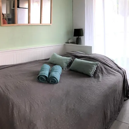 Avec Terrasse Et Piscine Appartement Bandol